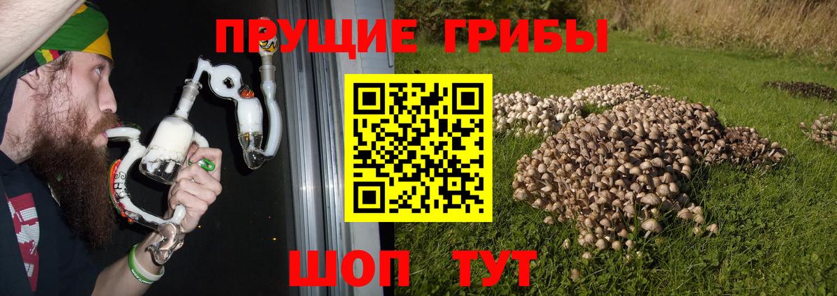 Нерюнгри  дарнет шоп  Вход с VPN  Галлюциногенные грибы прущие грибы 